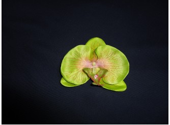 Цветочная головка "Фаленопсис" зеленый Ø12см (6шт)