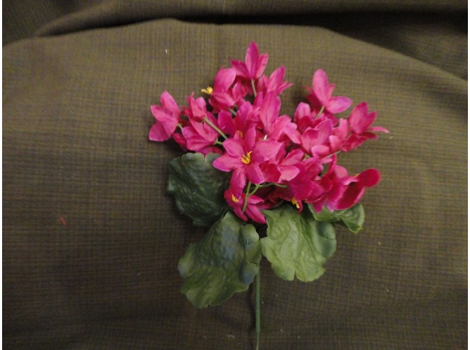 Букет цветов "Звездочки" бордовый h22см (1шт)