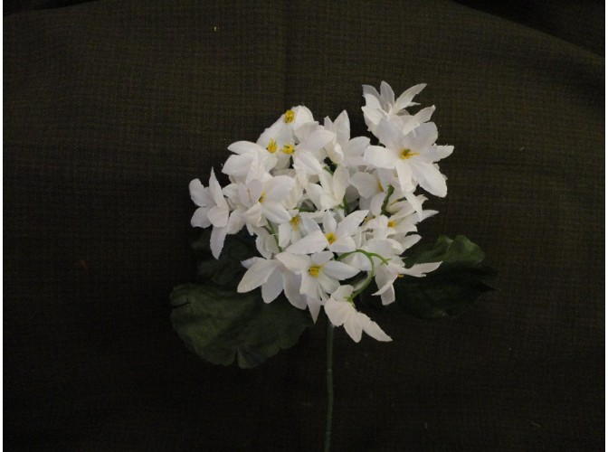 Букет цветов "Звездочки" белый h22см (1шт)