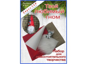 ССР Набор для творчества "Твой любимый гном" (1шт)