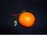 Муляж "Апельсин" крупный на ветке (1шт)