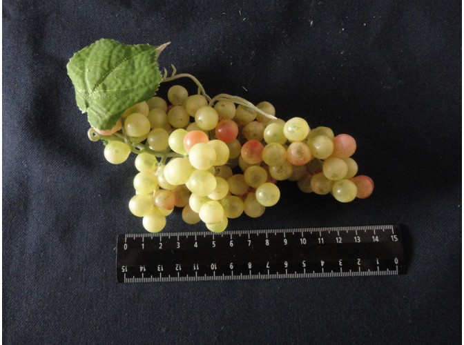 Виноград:18см/ мелкий зеленый (1шт)