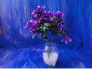 Букет "Космея"/фиолет h30cм; 6веток (1шт)
