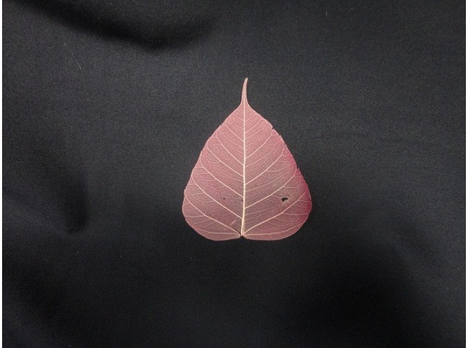 Скелетированный лист розовый круглый (5шт)