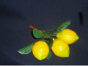 Муляж "Лимон"/ на ветке 3 шт (1ед)